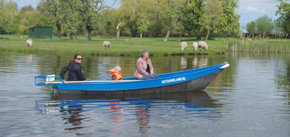 Blauwe boot met schapen op het land op de achtergrond